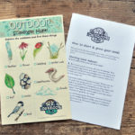 scavenger-hunt-and-seed-starting-instructions