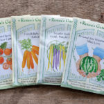 edible-seeds-image