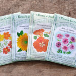flower-seed-packets