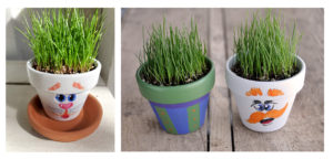 mini-containers-with-grass