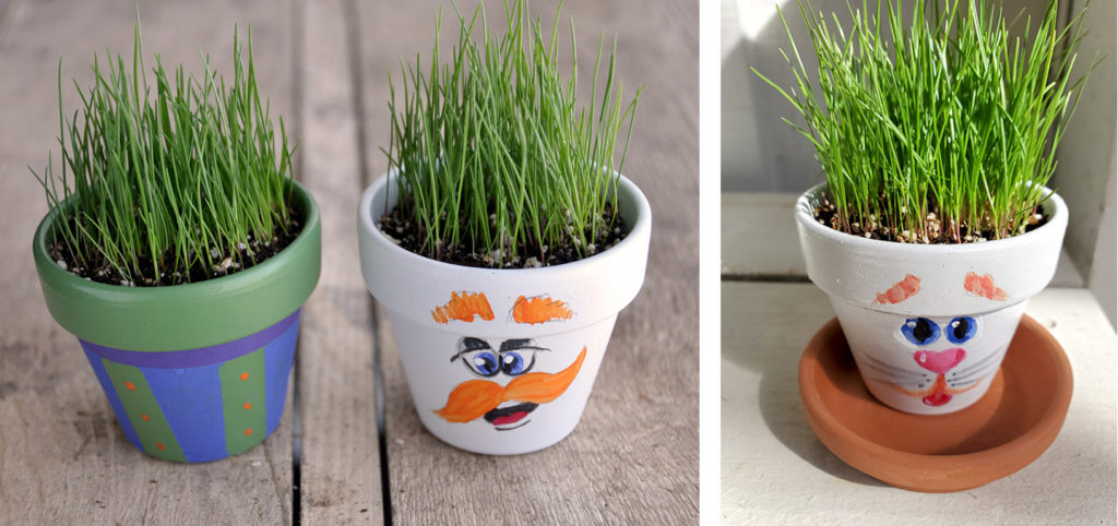 A Fun Project for Kids