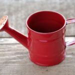mini-watering-can-image