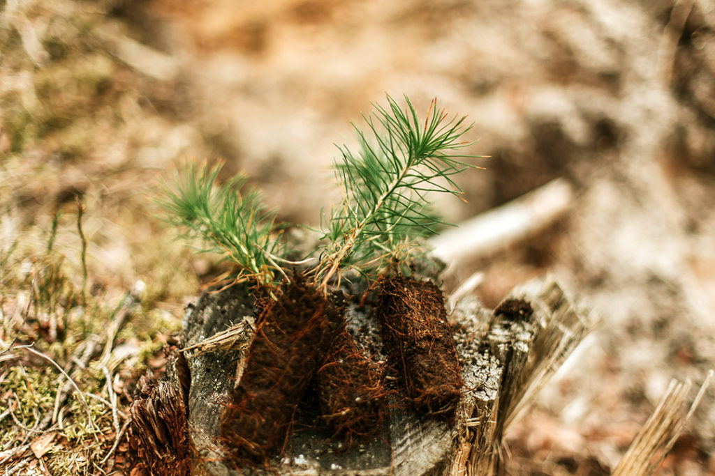 HAPPY EARTH DAY!