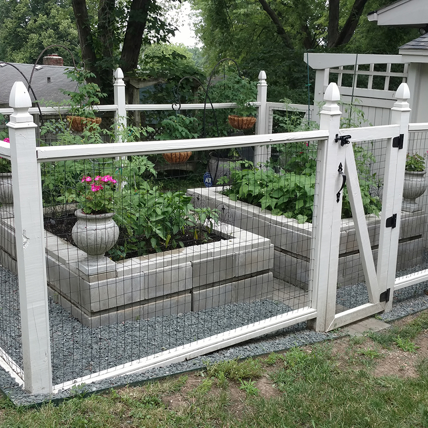 raised-vegetable-garden