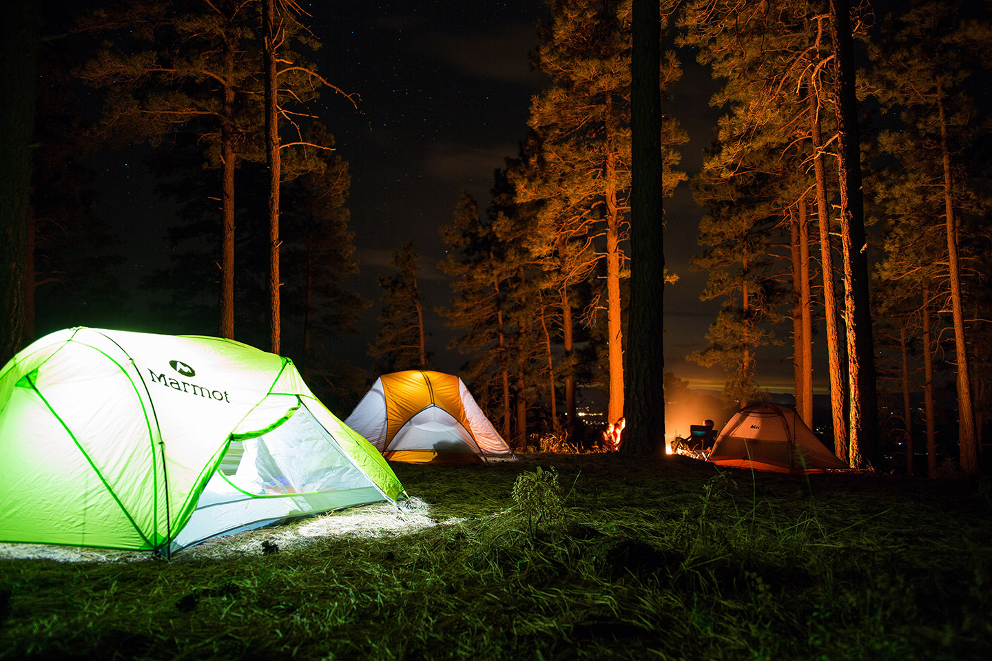 tents-in-woods