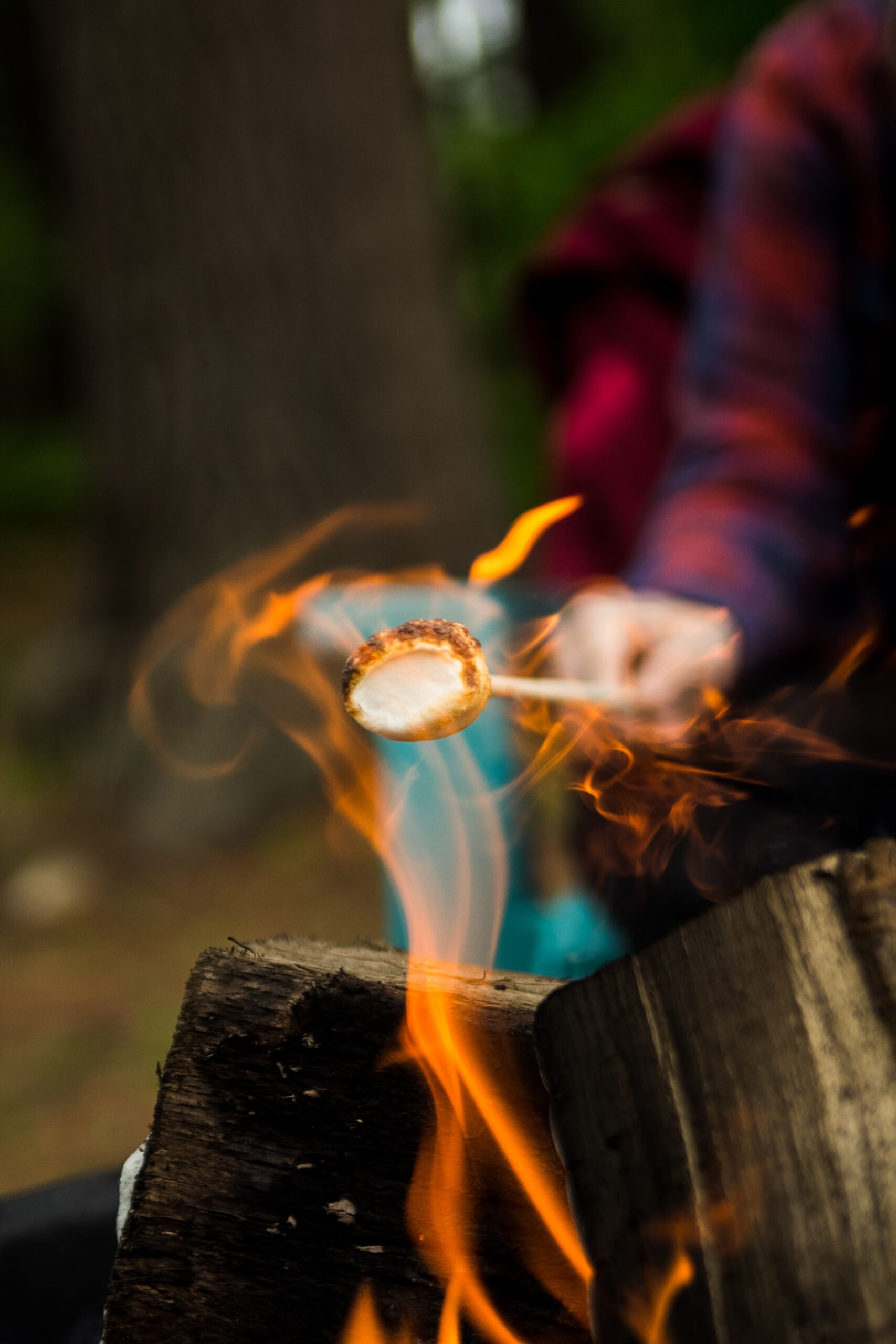roasing-marshmallows