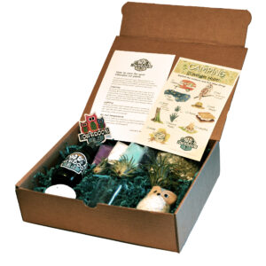 Out Of This World Air Plant Kids Gift Box