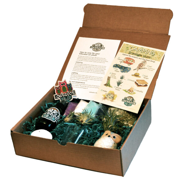 Out Of This World Air Plant Kids Gift Box