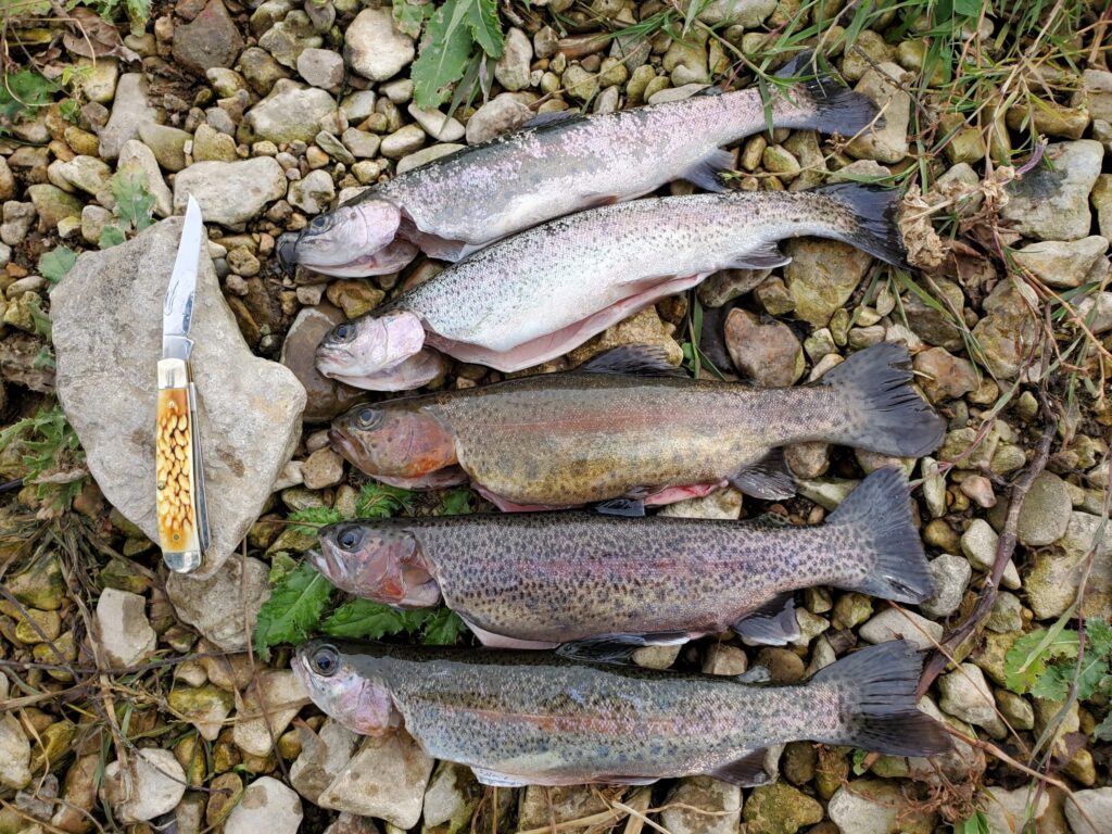 Fishing with kids teaches patience and creates a lifetime of memories.